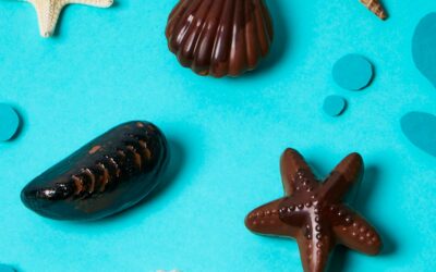 COLLECTION BORD DE MER